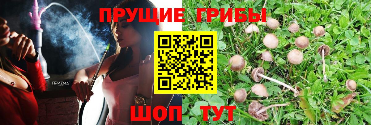 Псилоцибиновые грибы ЛСД  Вход с VPN  Вольск 